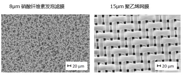 圖4：發(fā)泡濾膜和網(wǎng)膜的結(jié)構(gòu)對(duì)比